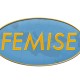 Contribute to FEMISE Researchers Database