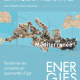 Les pays du Sud Méditerranéen face aux défis environnementaux