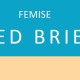 FEMISE Call for Policy Briefs- DL 30th  of September 2017