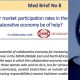 FEMISE MED BRIEF no8 : Les femmes dans le marché du travail en MENA. L’économie collaborative peut-elle être utile?