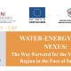 WEF-CAP POLICY BRIEF No.1: WATER-ENERGY-FOOD NEXUS: The Way Forward for the Mediterranean Region in the Face of Insecurities