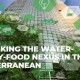 Rethinking the Water-Energy- Food Nexus in the Mediterranean