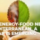 Article 6: Water-Energy-Food Nexus in the Mediterranean, a roadmap is emerging