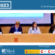 FEMISE Annual Conference In Barcelona2023- Plenary Session 3 Report