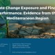 Policy Brief 13: Climate Change Exposure and Financial Performance: Evidence from the Mediterranean Region