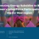 Policy Brief 12: Réorienter les subventions énergétiques pour renforcer la participation des femmes au marché du travail dans la région euro-méditerranéenne