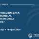 FEMISE Working Paper N°2: Qu’est-ce qui freine l’inclusion financière des jeunes dans les pays MENA ?