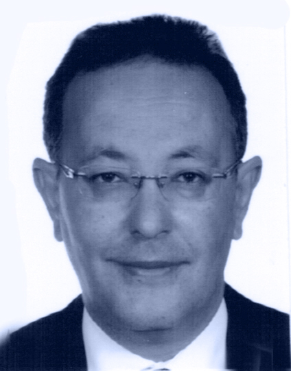Ahmed Farouk Ghoneim (Professeur d'économie, Faculté des sciences économiques et politiques, Université du Caire, FEMISE)