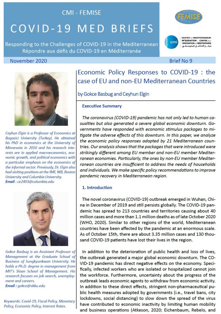 COVID-19 MED BRIEF no.9: Economic Policy Responses to COVID-19: the ...