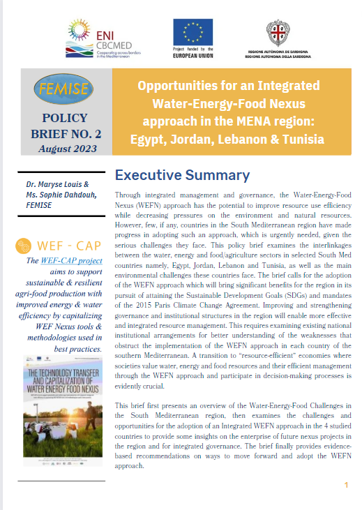FEMISE-Wef-cap Policy Brief 2- Egypt, Lebanon, Jordan and Tunisia