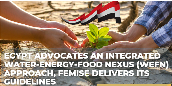 Egypt advocates an integrated Water-Energy-Food Nexus (WEFN) approach, Femise delivers its guidelines